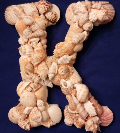 Assortment of Shells on Wooden Letter