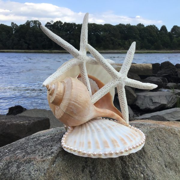 Scallop and Whelk Cake Topper