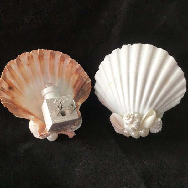 LED Scallop Night Light - 4” tall.  Available in “Natural” or “White”