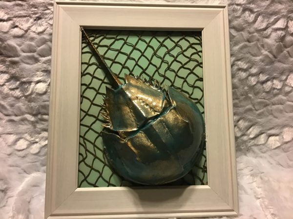 Framed Resin Horseshoe Crab